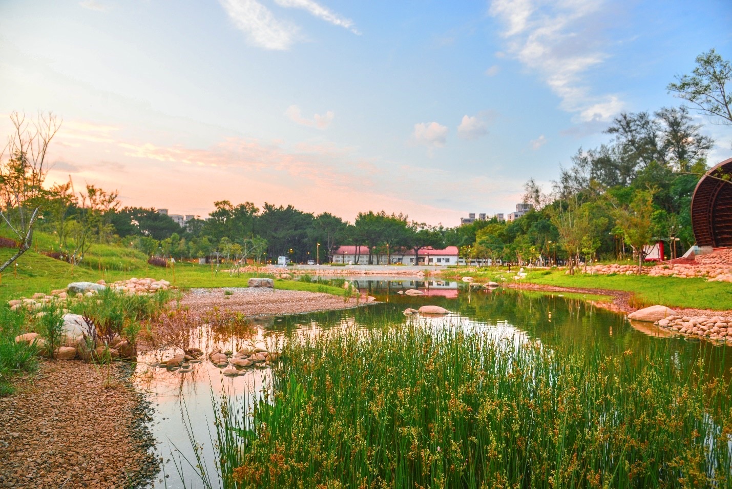 大湳森林公園內的中央水池