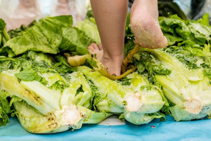 客家先民採收芥菜後，赤腳重覆踩踏撒過鹽的芥菜，以達脫水效果，最後再放入甕中密封，等待15至20日後即可食用