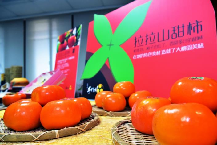復興區甜柿創意甜點成果發表會  鄭市長：甜柿變身飛機餐點，為在地農產品開創新局