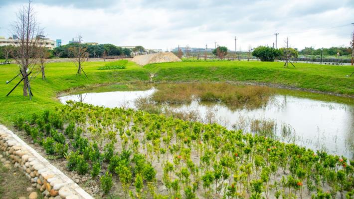 蘆竹海湖運動森林公園有景觀池