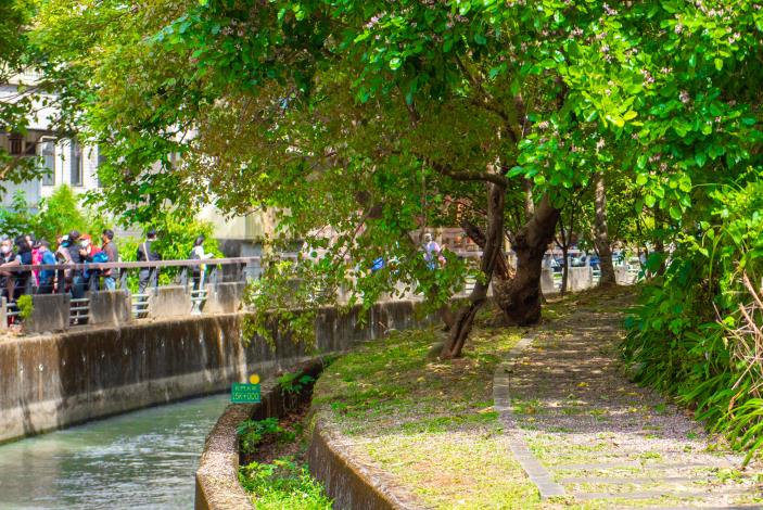 市府陸續優化石門大圳綠色廊帶沿線的步道及公園，提供民眾更好的休閒遊憩空間