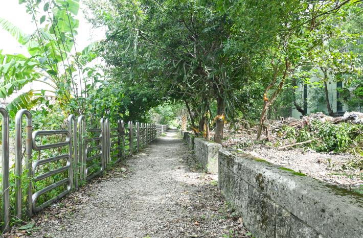 道路現況為1米寬碎石路