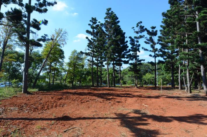 桃花園造林計畫統包工程－中壢山嶺段工區開工 鄭市長：打造「過嶺森林公園」，成為市民散步休閒的好地方