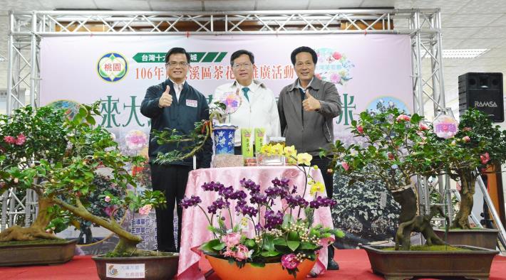 大溪茶花節記者會 鄭市長：發展茶花成為大溪品牌
