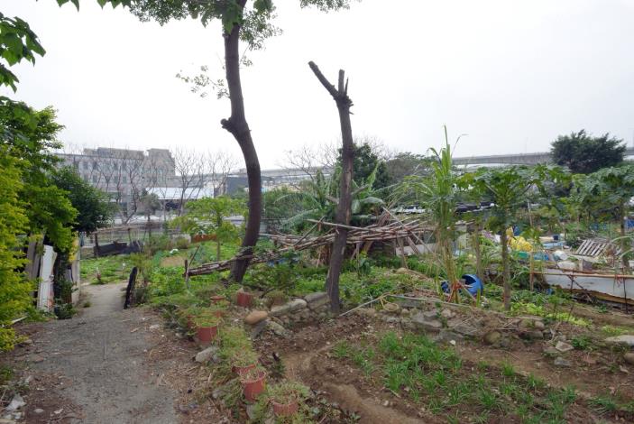 視察蘆竹區光明郵局後方綠地開闢 鄭市長：闢建「郵局公園」，持續增設大南興地區公園綠地