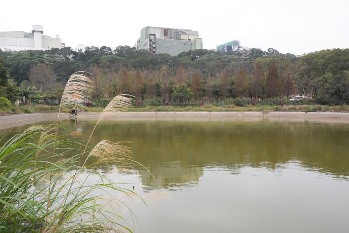 鑊篤陂塘生態公園場址現況