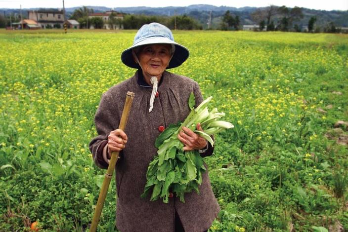 康台生-土地(2005)