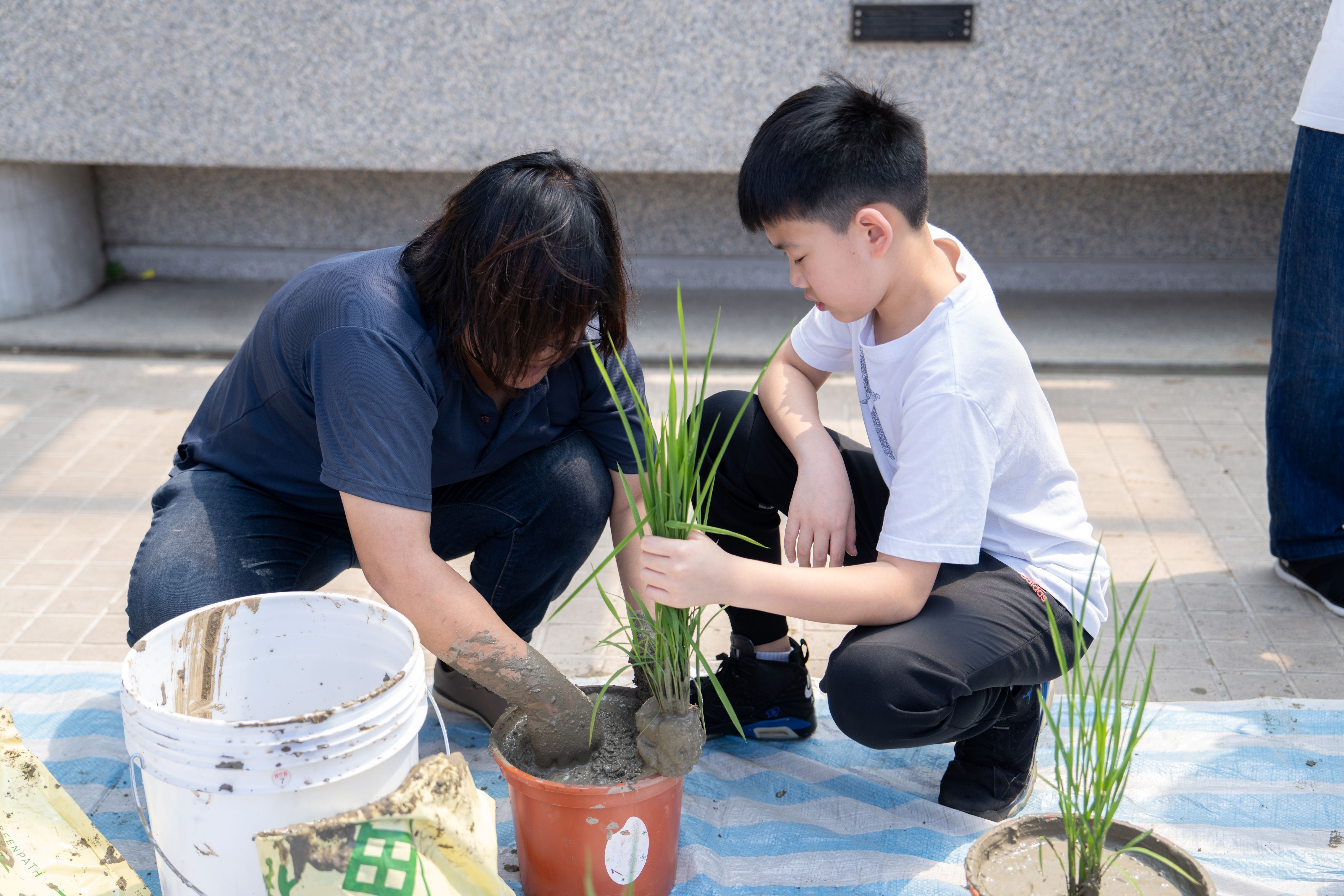 2學童親手種植稻米。(透島影業拍攝，桃園市立美術館提供)