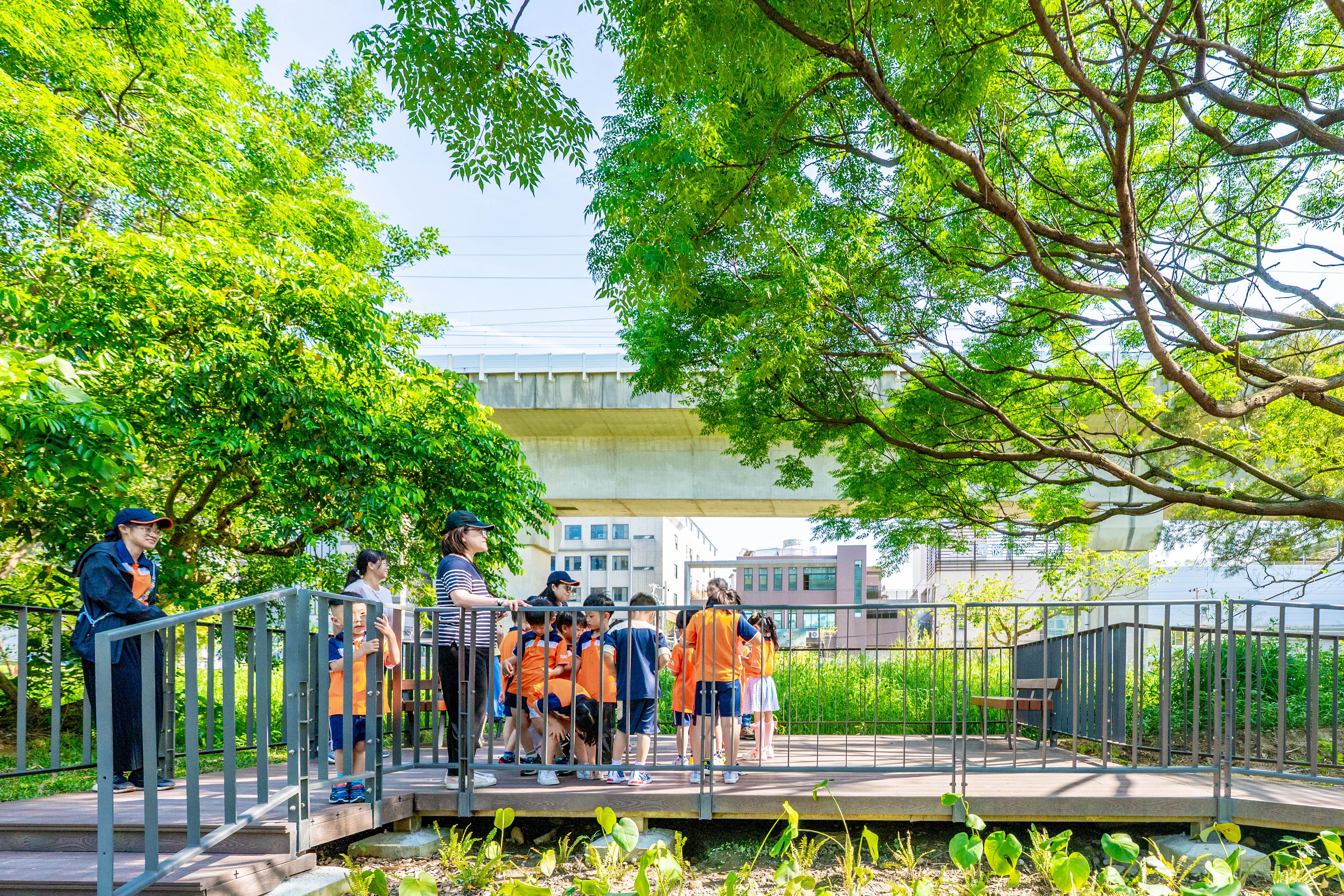 營盤溪綠廊工程打造綠色廊道，為市民提供優質生活環境