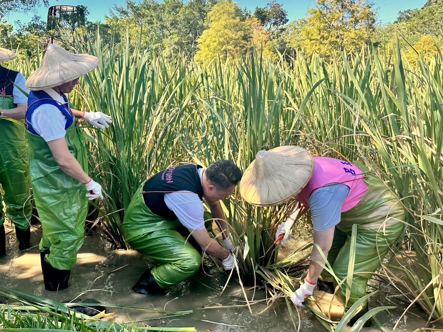 圖片來源:新聞處