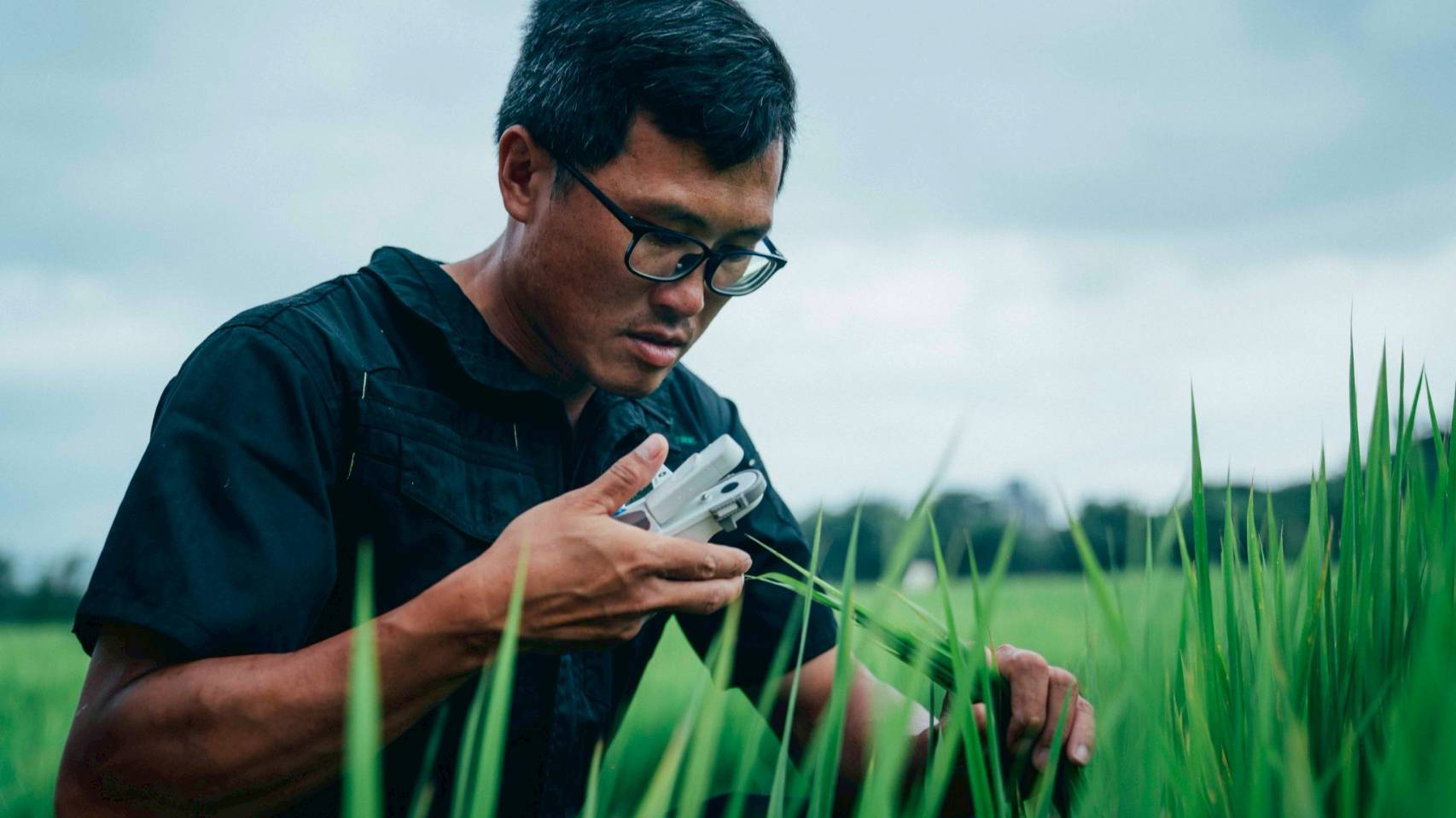 圖片來源:新聞處
