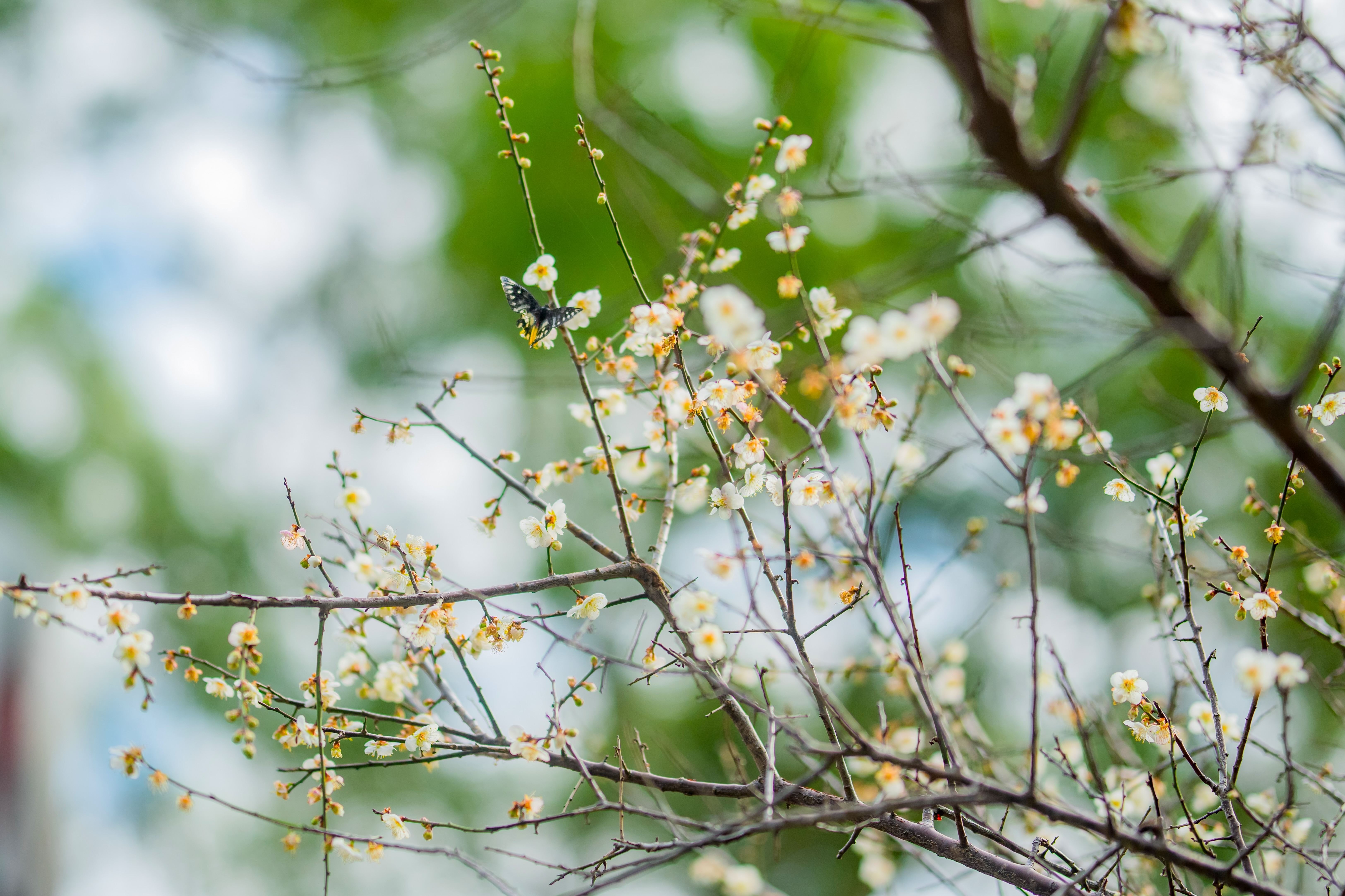 圖片來源：新聞處