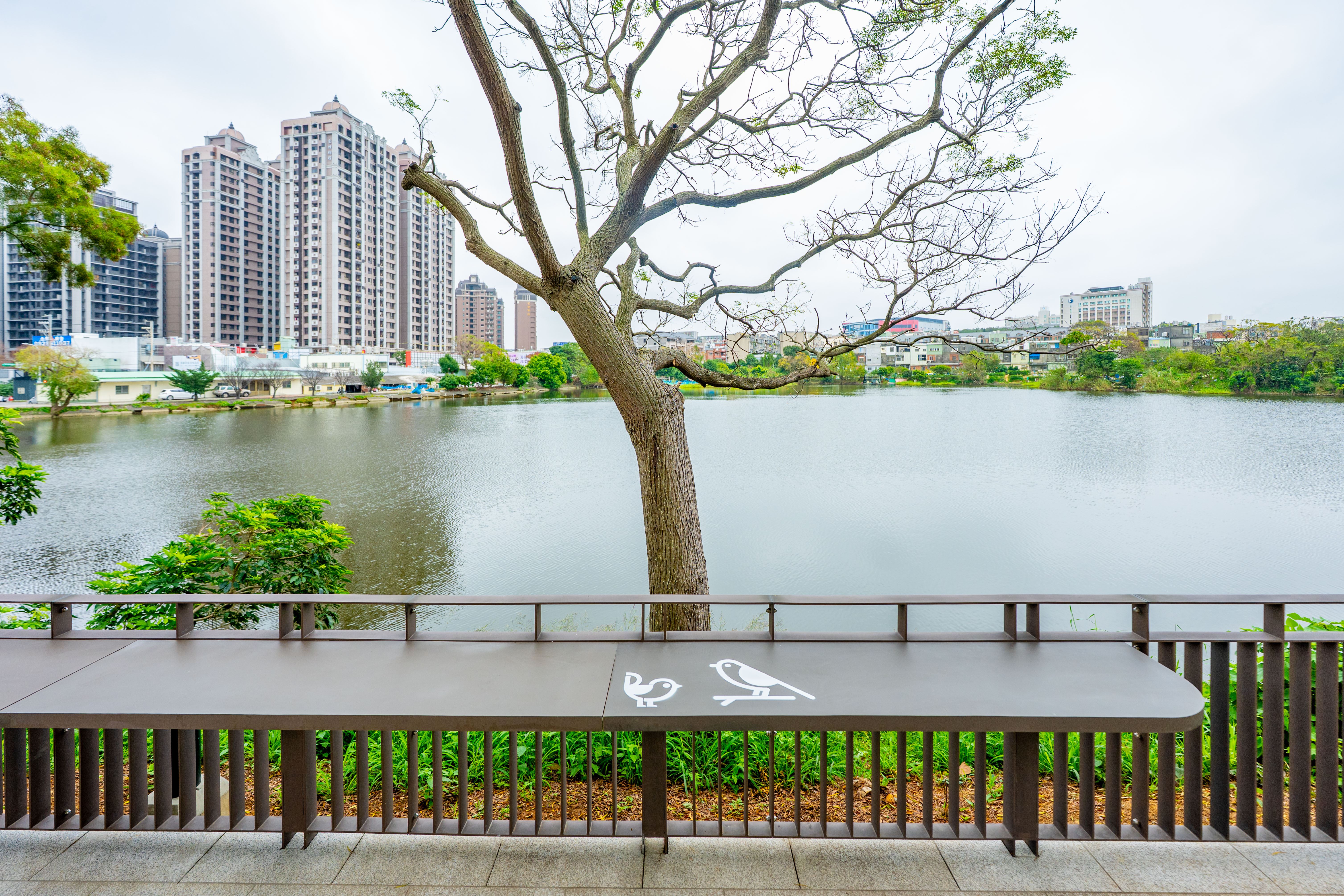 圖片來源：新聞處