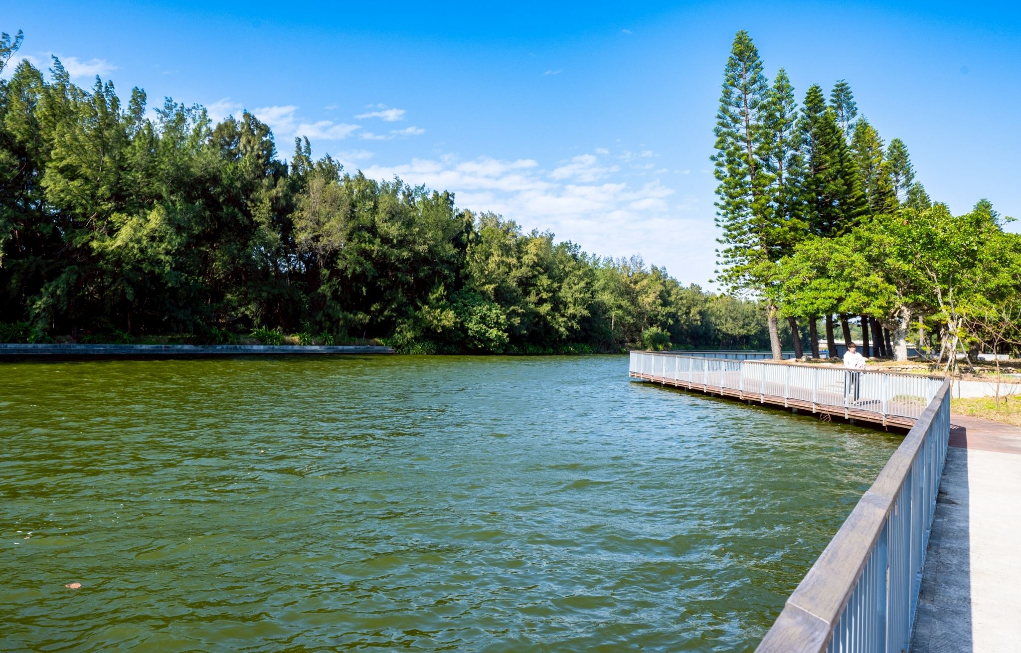 圖片來源：新聞處