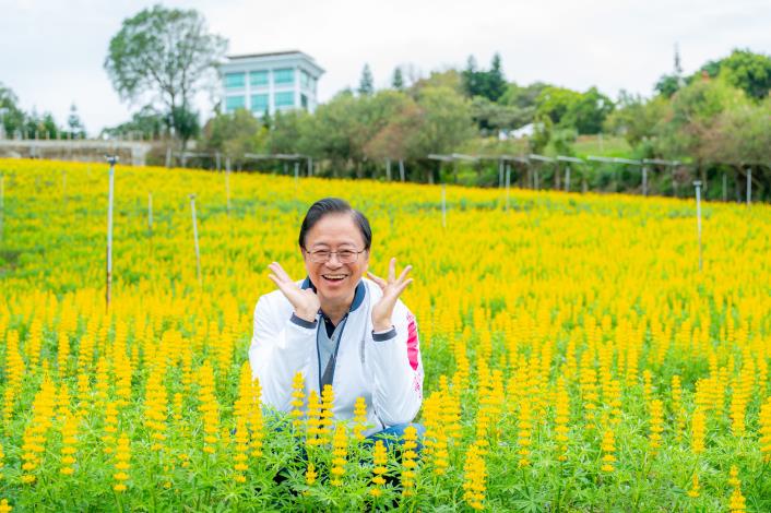 張市長與盛開的魯冰花合影