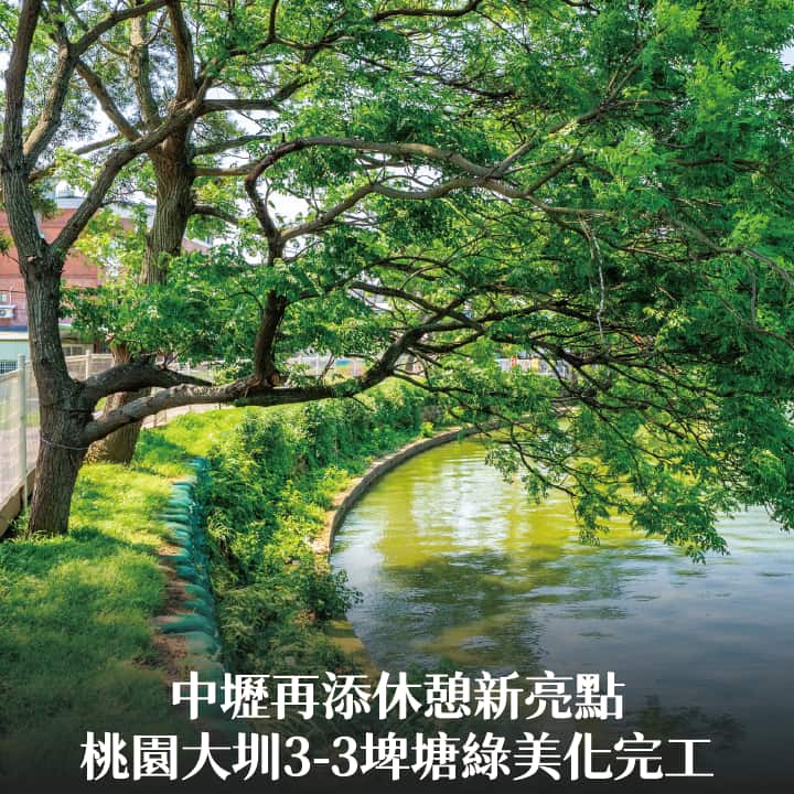 桃園大圳3-3埤塘綠美化完工　張市長：中壢再添休憩新亮點