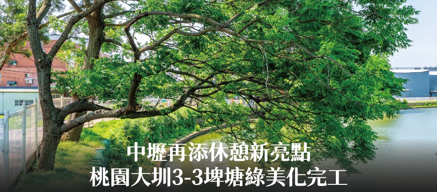桃園大圳3-3埤塘綠美化完工　張市長：中壢再添休憩新亮點