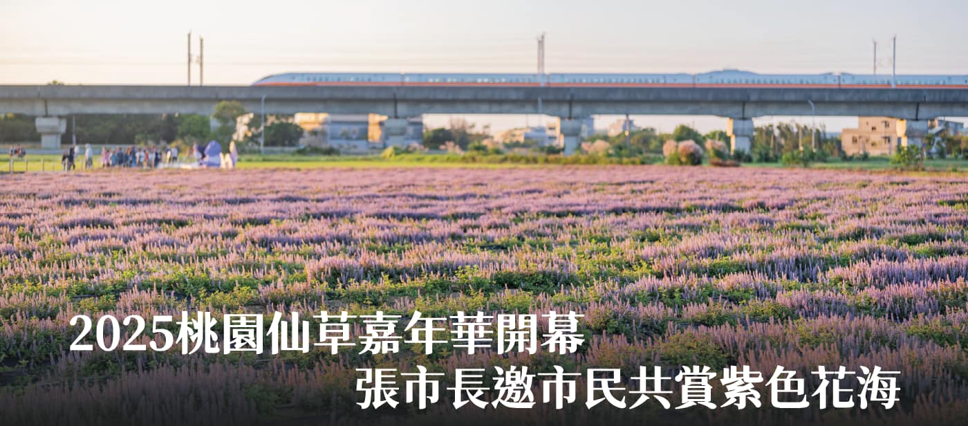 2025桃園仙草嘉年華開幕　張市長邀市民共賞紫色花海