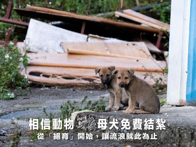 文字_通報2-18