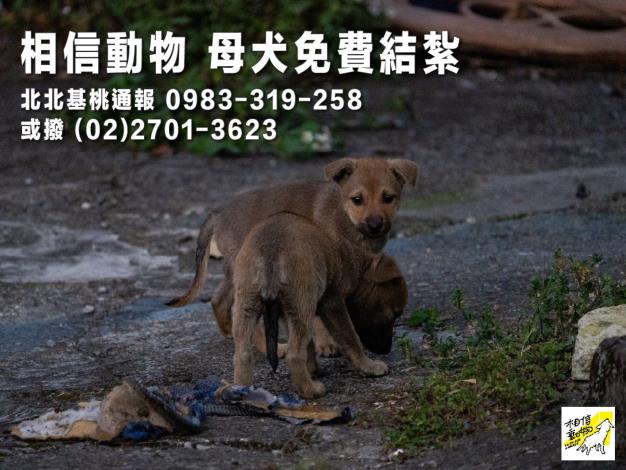 電話3_通報-19
