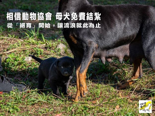v通報協會-10