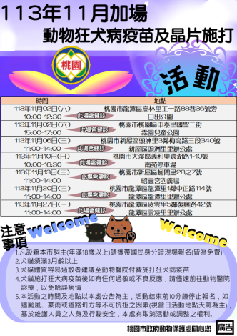 11月總場次1