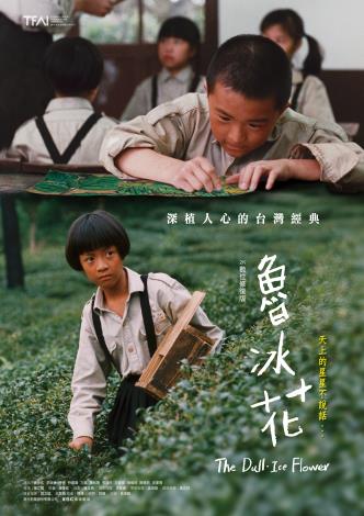 《魯冰花》中文版 
