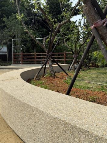 莒光公園植櫻花樹