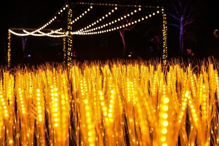 打卡專區：稻穗燈