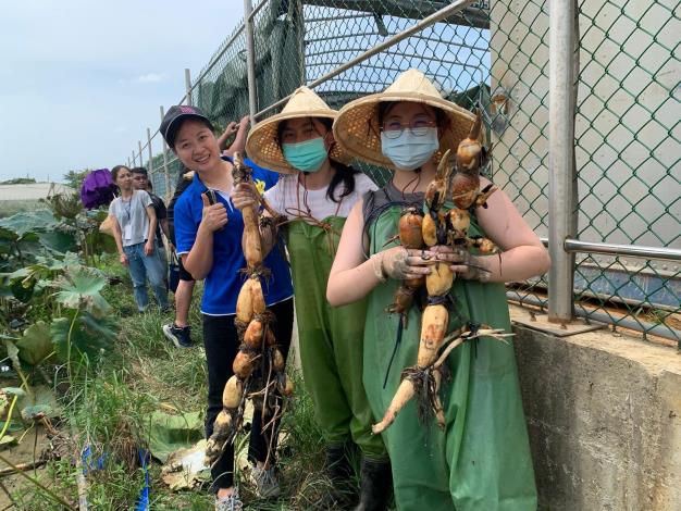 桃氣の青農週記-團隊