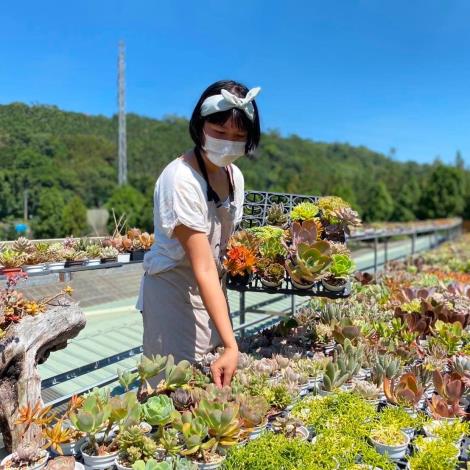 創辦人廖湘翎於多肉植物園「Koi Garden」照顧植物