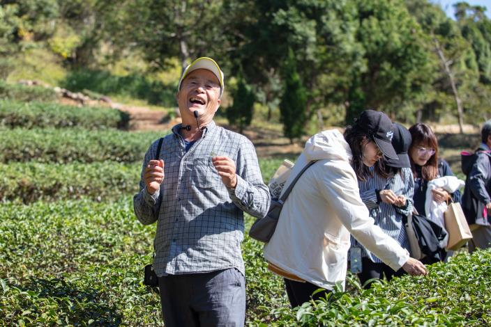 謝里長在茶園唱山歌搭配採茶體驗