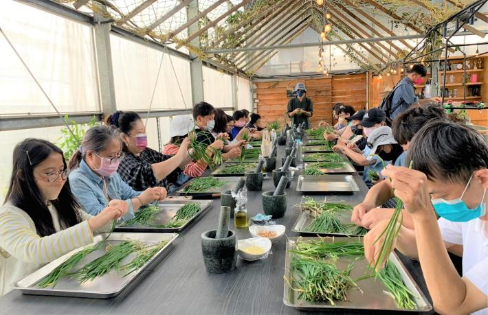 圖5、香草野園團隊在大溪中庄推動韭菜產業轉型。