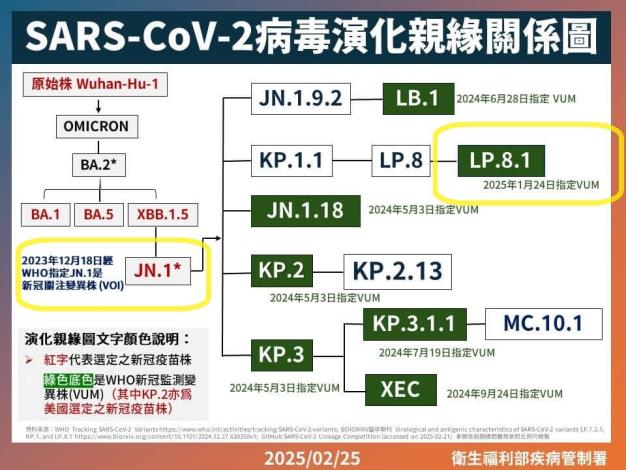 20250225 SARS親緣演化圖2