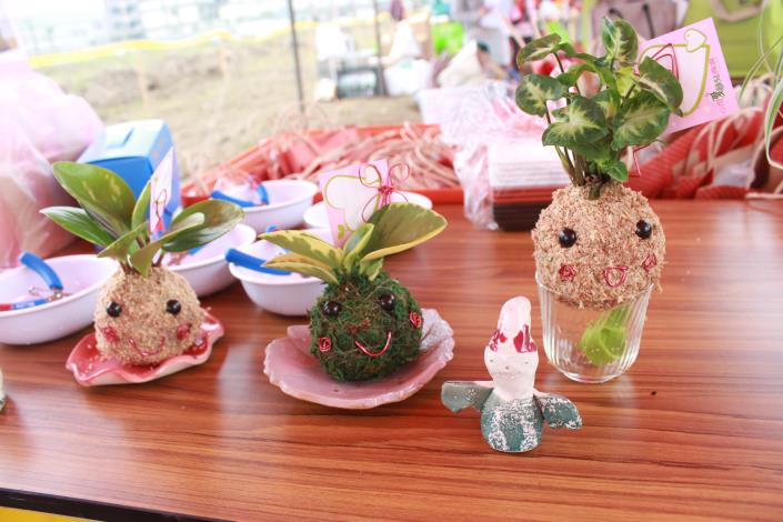 活動現場辦理幸福苔球DIY