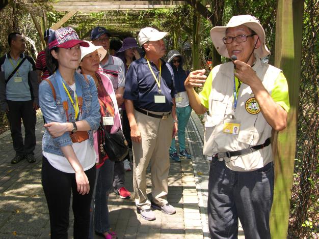 關渡自然公園(解說生態植物)