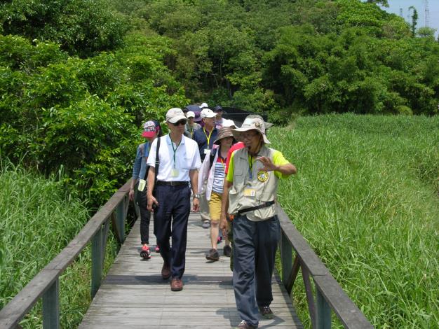 關渡自然公園(解說生態植物)