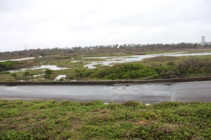 許厝港濕地