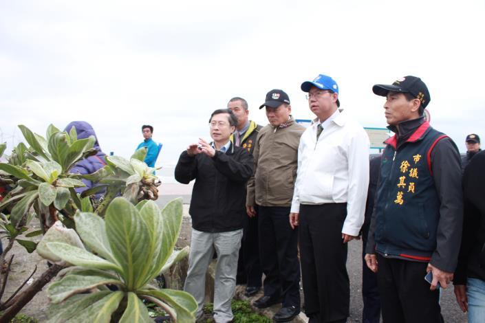 市長視察許厝港濕地