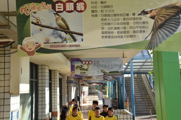 生態走廊