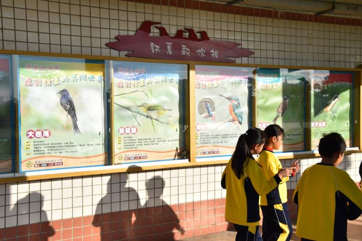 生態訊息公布欄