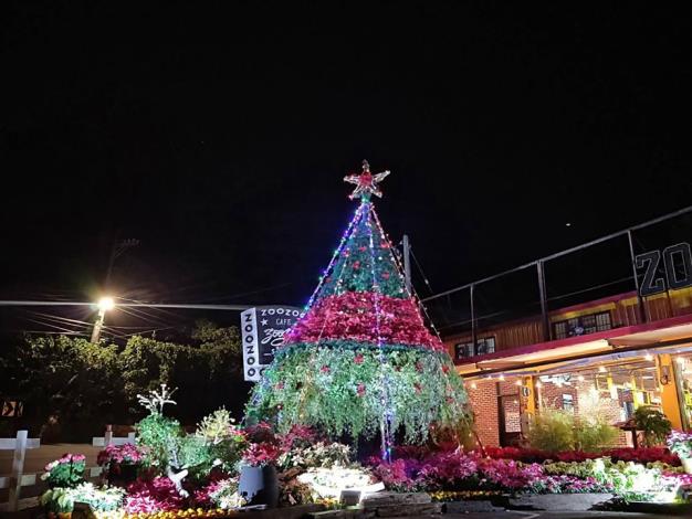 1081214-復興區-桃園山城聖誕紅花節聖誕樹造景
