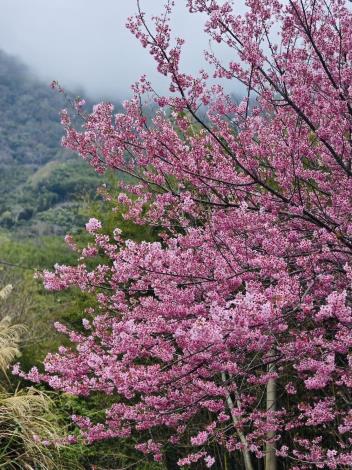 641387483_1260875509559575_1471654317767278110_n