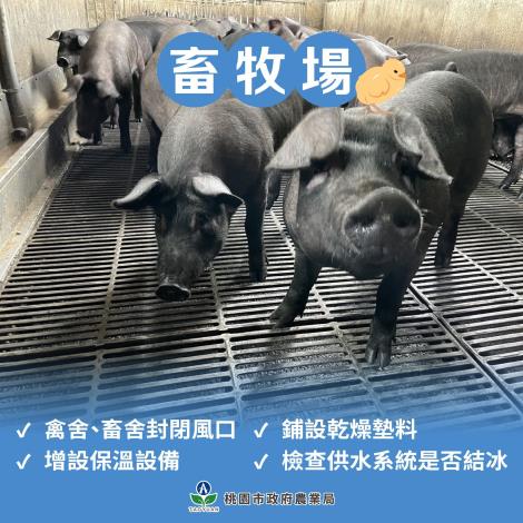 氣溫下降，農漁畜牧全面防寒 (2)