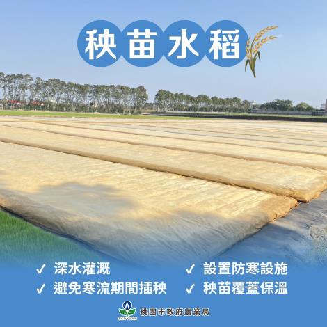 氣溫下降，農漁畜牧全面防寒 (3)
