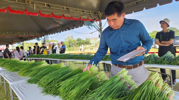 114年大溪韭菜品質競賽