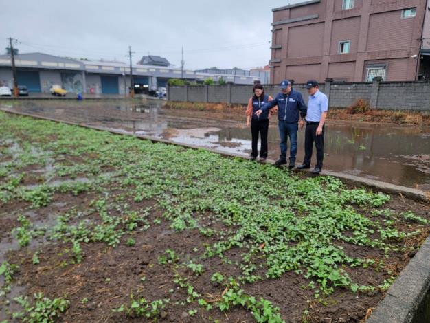 豪雨釀災水淹農作 桃市農業局勘災應變助農民 (10)