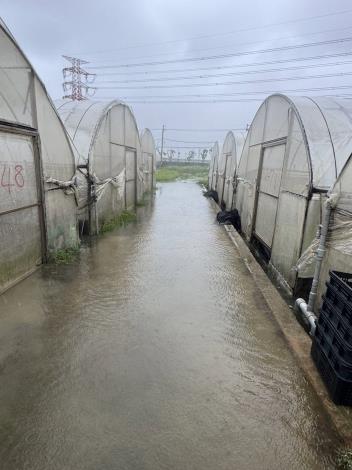 豪雨釀災水淹農作 桃市農業局勘災應變助農民 (2)