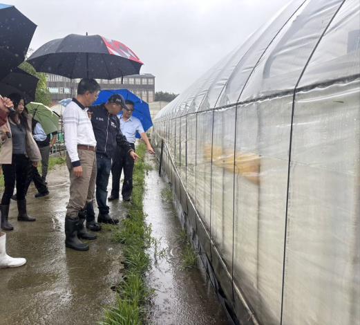 豪雨釀災水淹農作 桃市農業局勘災應變助農民 (6)
