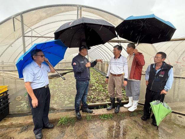 豪雨釀災水淹農作 桃市農業局勘災應變助農民 (7)